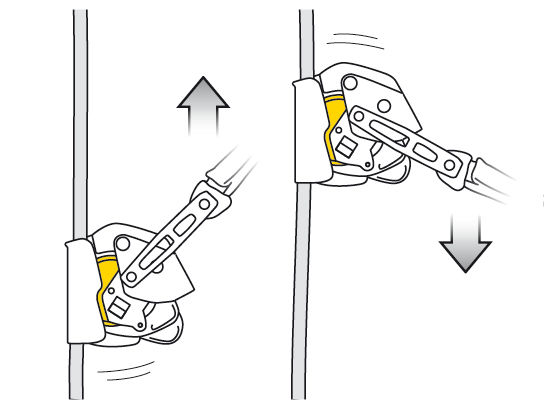 Petzl Asap Lock taulås