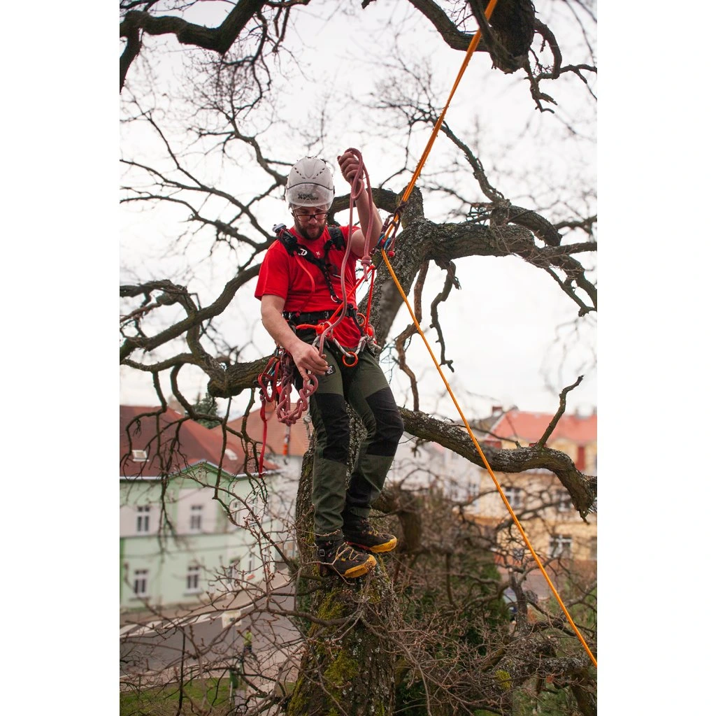 Sherman arborist seletøy - Bilde 16